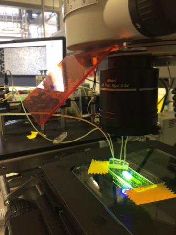 Dispositif microfluide pour visualiser les phénomènes physiques à l'échelle des pores
